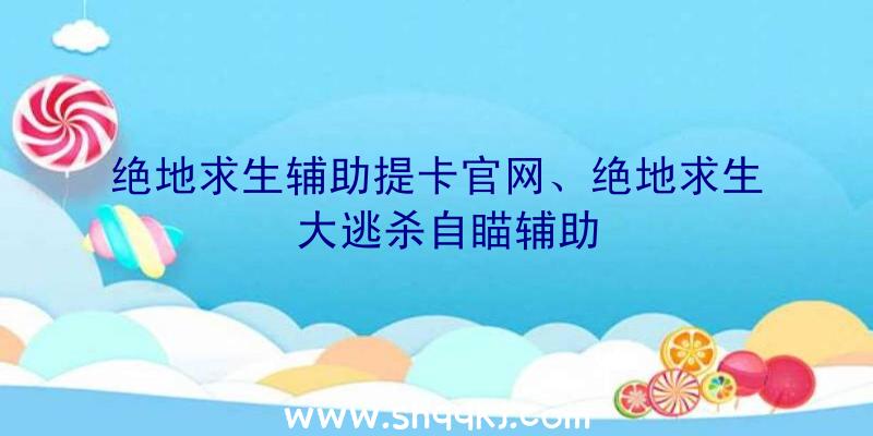 绝地求生辅助提卡官网、绝地求生